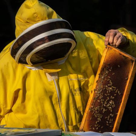 bee-keeper-black-background