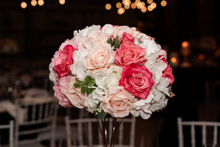 My last birthday photo shoot